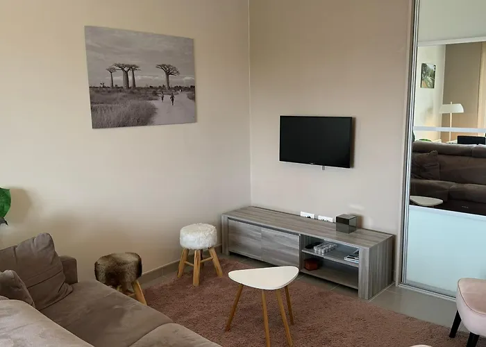 Moderne Pres De La Et Du Centre - 2 Chambres, Balcon, Parking, Animaux Acceptes - Fr-1-487-363