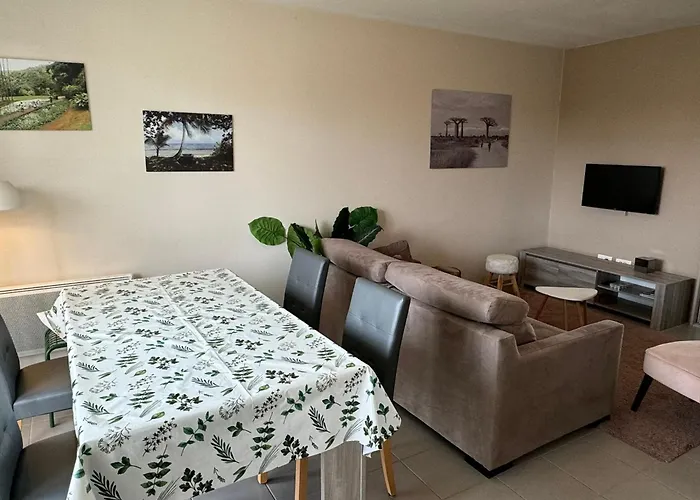 公寓 Moderne Pres De La Et Du Centre - 2 Chambres, Balcon, Parking, Animaux Acceptes - Fr-1-487-363 卡布尔